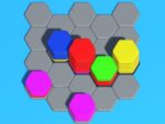 Hexa Sort 3D Bulmaca