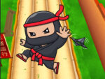 Nano Ninjalar